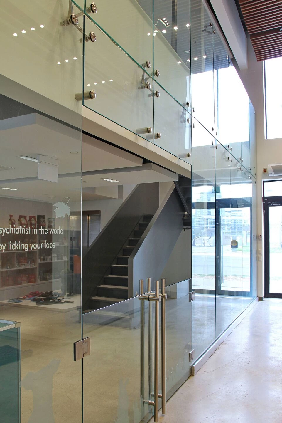 Park Lawn Dog Daycare-28