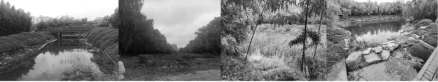 枣庄高新区人才公园设计丨中国枣庄丨同圆设计集团股份有限公司-34