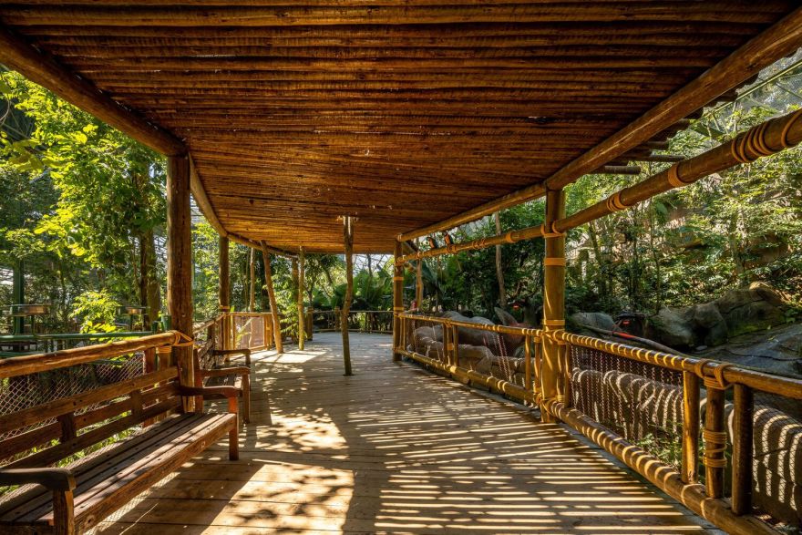 沉浸式动物园设计丨巴西圣保罗丨Alessandro Malara-29