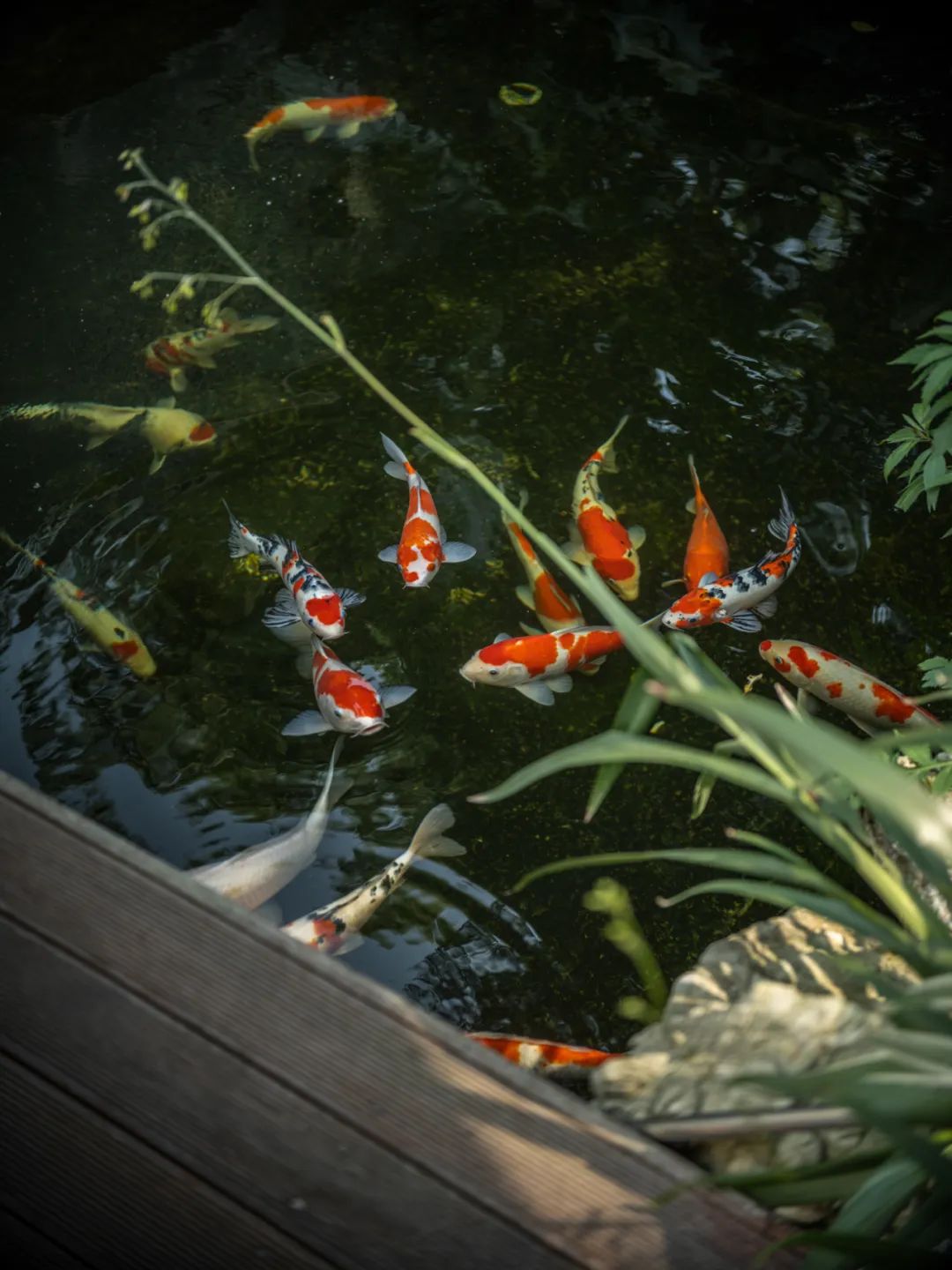 香草舒芙蕾丨中国重庆丨合理空间-20
