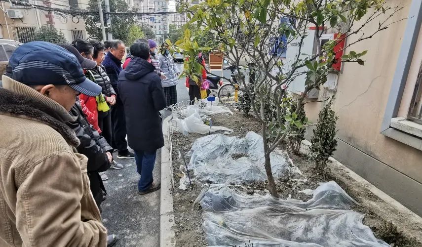 小区绿化带变身童话花园还差一个你,快快来加入吧!-12