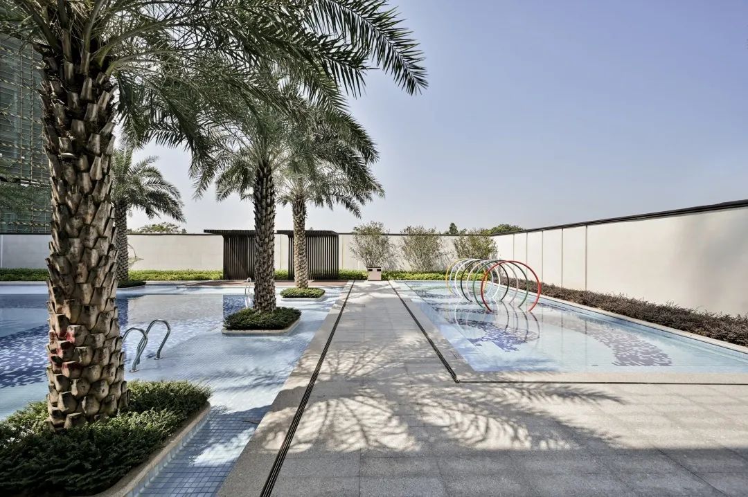 三水荷花世界,云水荷香间的归心之所-62