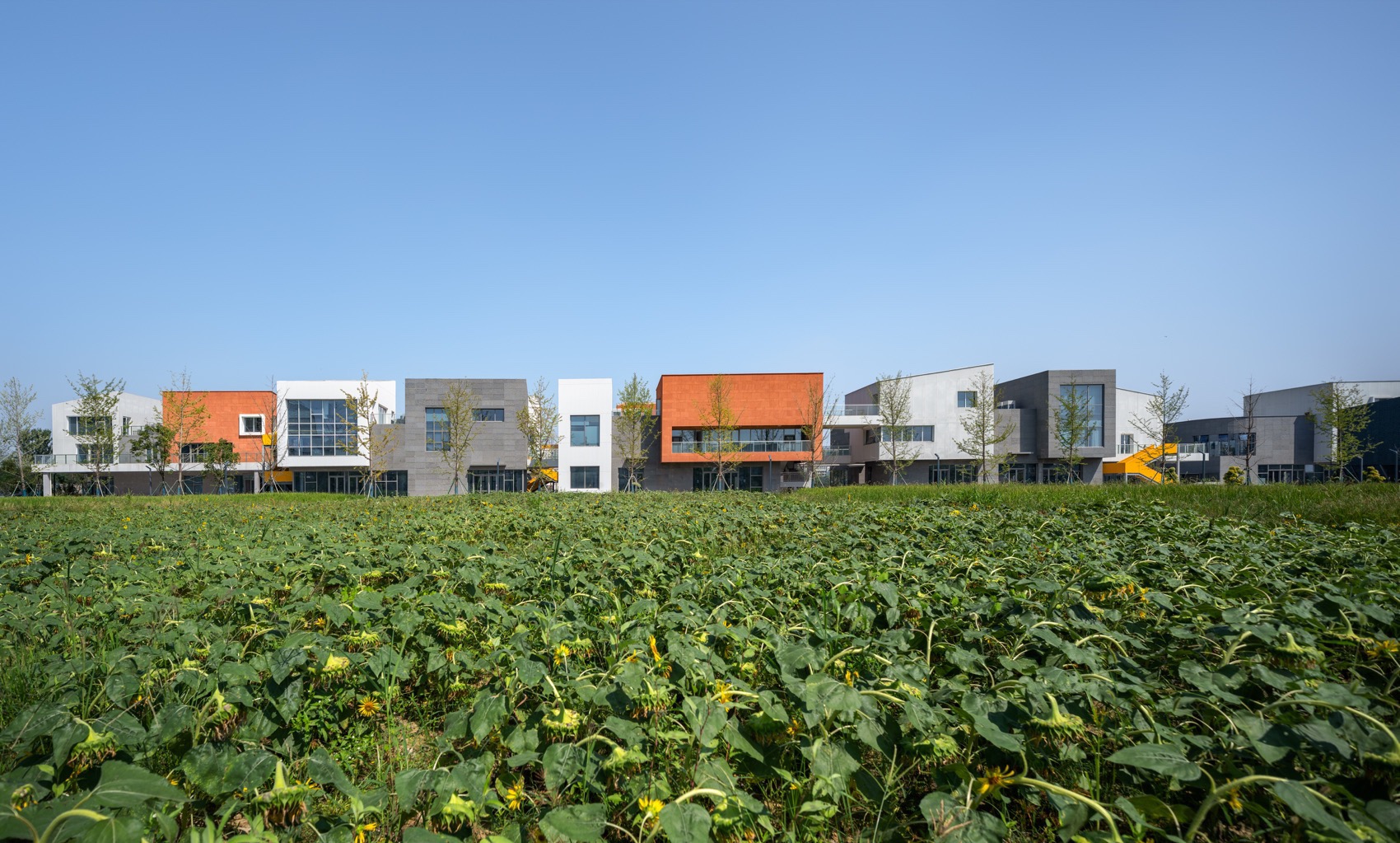 海宁长安国际花卉产业园，浙江 / 森上建筑+朴筑建筑-28