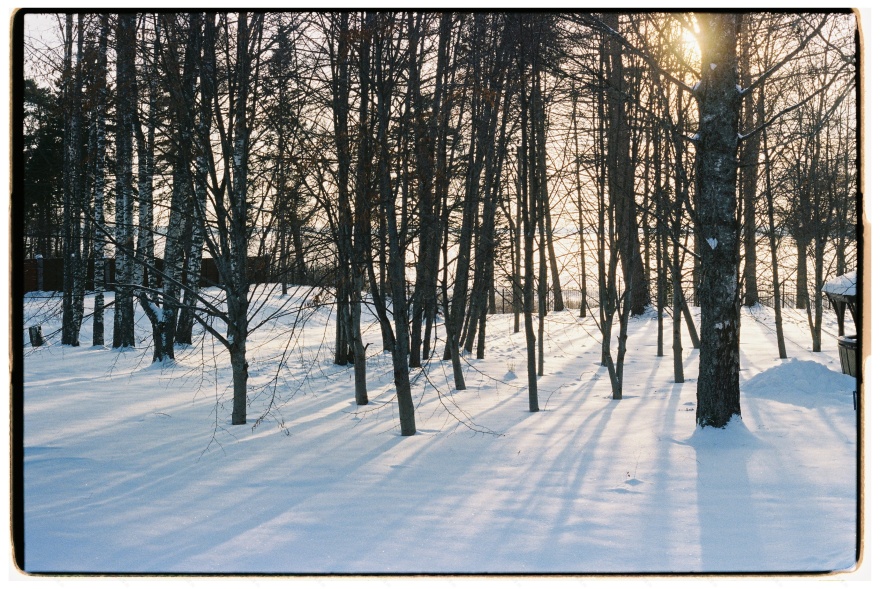 Frost, sun and laugh-15