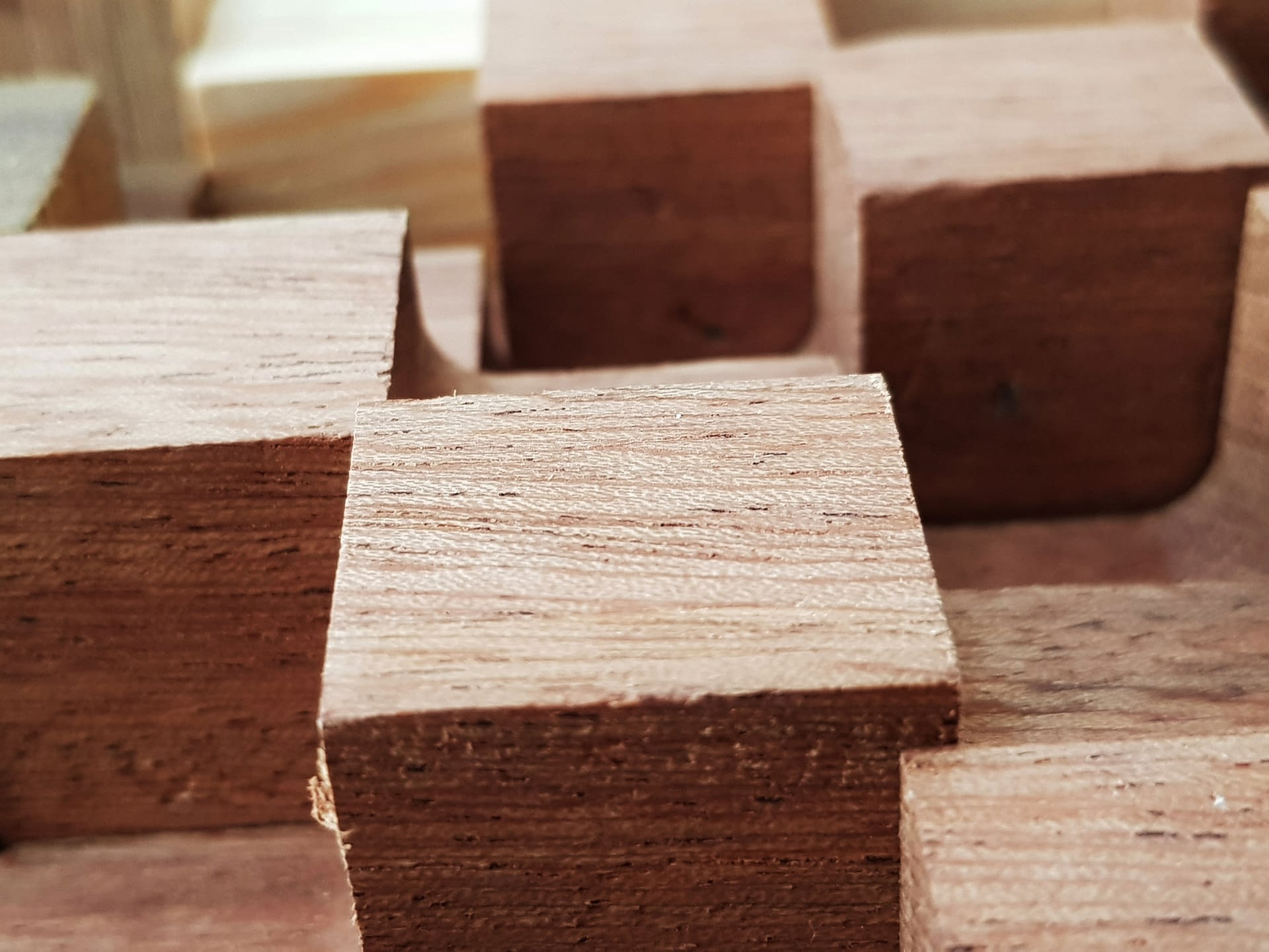 施罗德 – 全基因组编码计划（注：ENCODE全称为Encyclopedia of DNA Elements ，一般译为全基因组编码计划 ） -5