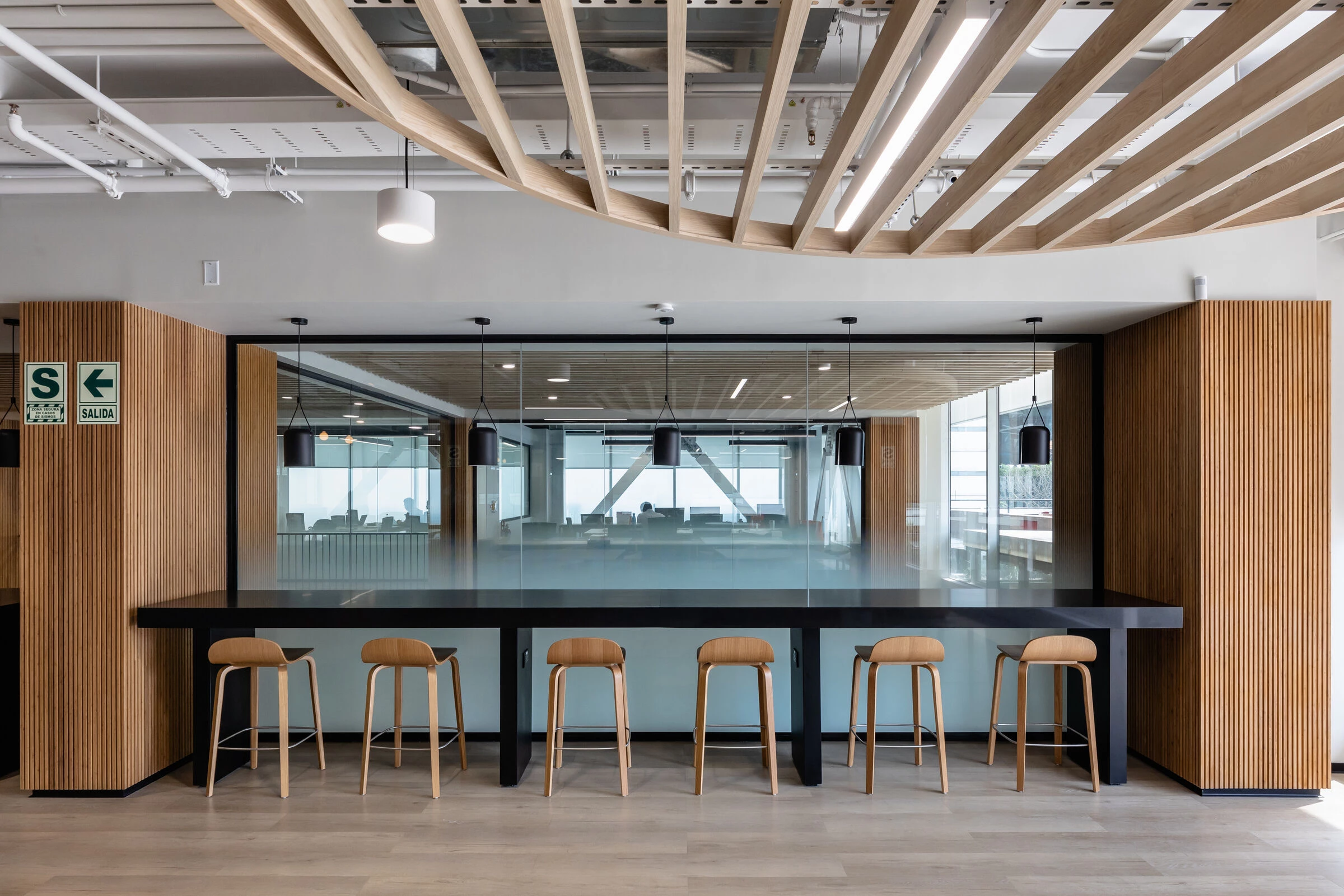 弗勒·比于尔巴诺娃丨秘鲁利马丨DRRP Spaces-19