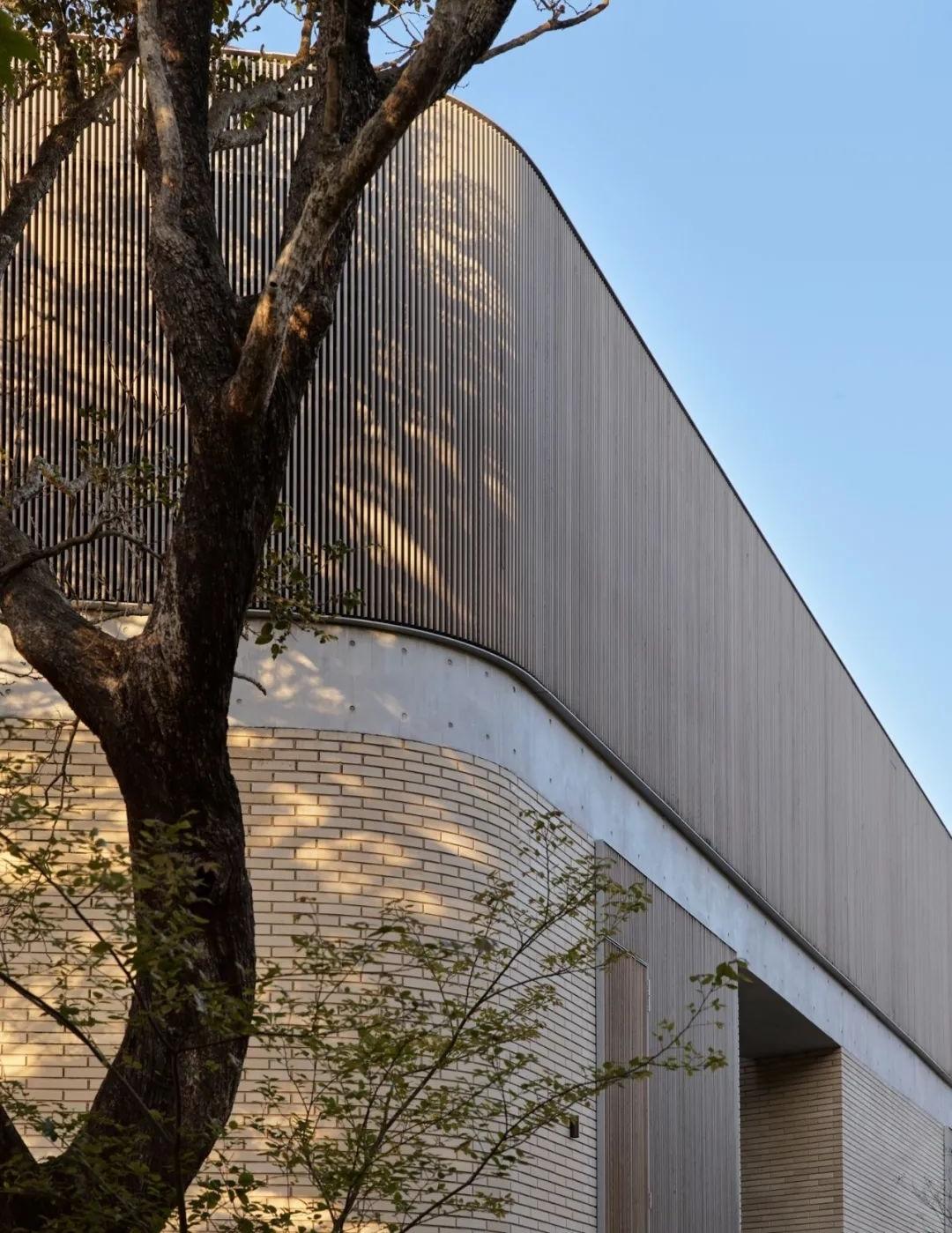 悉尼东郊 Bellevue Hill 别墅设计丨澳大利亚悉尼丨Stafford Architecture-66