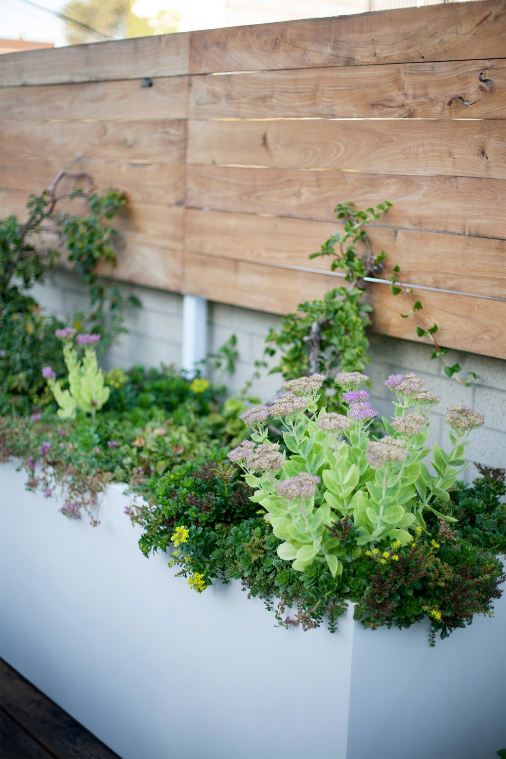 丨美国芝加哥-24