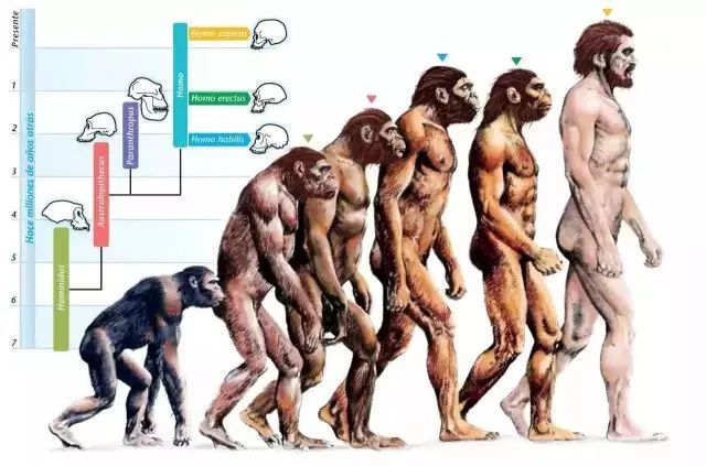 《Science》公布的 125 个最具挑战性的科学问题，你感兴趣的是哪个？-232