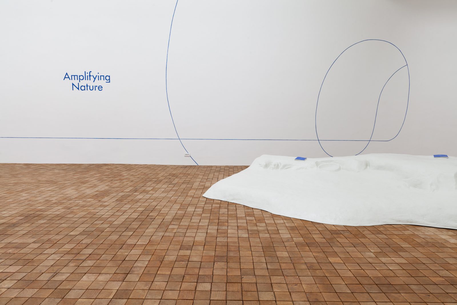 威尼斯波兰馆·CENTRALA“放大自然”展览丨法国尼斯-25