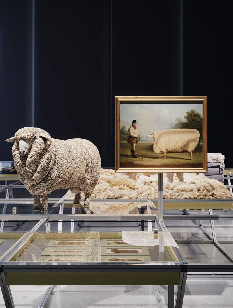 STEDELIJK MUSEUM EXHIBITS FORM丨意大利丨意大利设计工作室-4