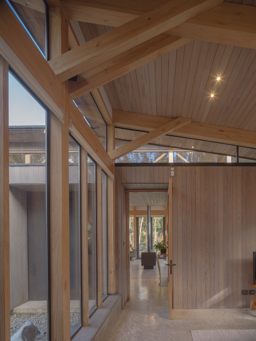 丨智利丨Camila Pineda Arquitectura-17