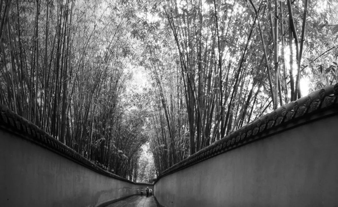 屋上 檐下 | 龙湖·学樘府-27