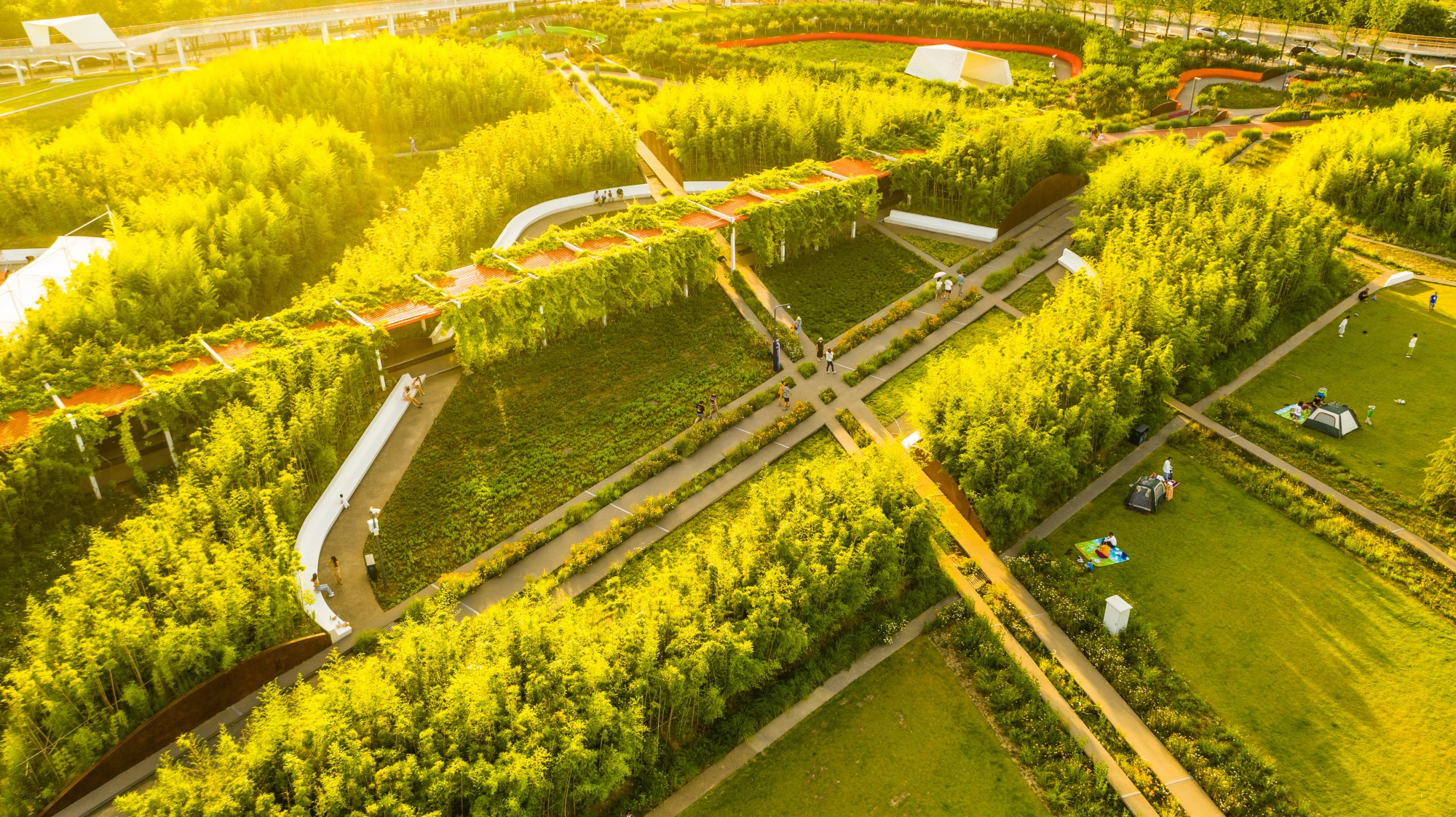 西安雁南公园（二期）丨中国西安丨土人设计（Turenscape）-118