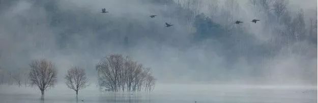 建业桂园销售中心 | 幽境中的艺术空间-43