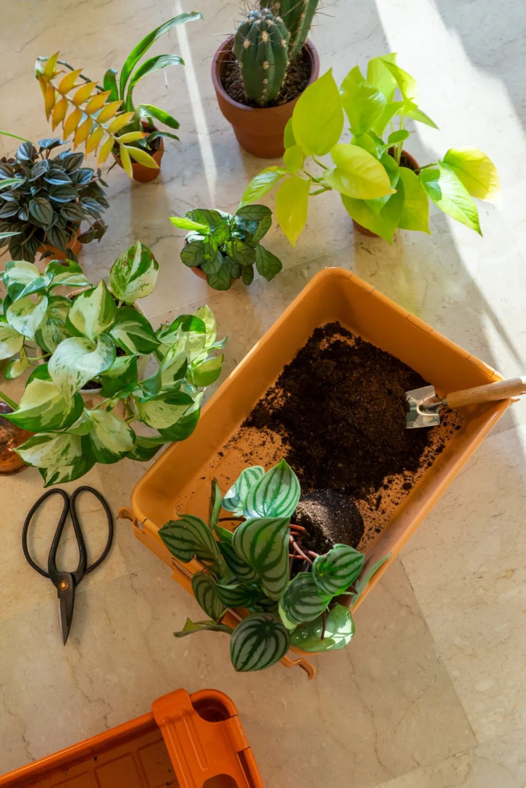 马卡龙色系的家丨法国丨Judith-92