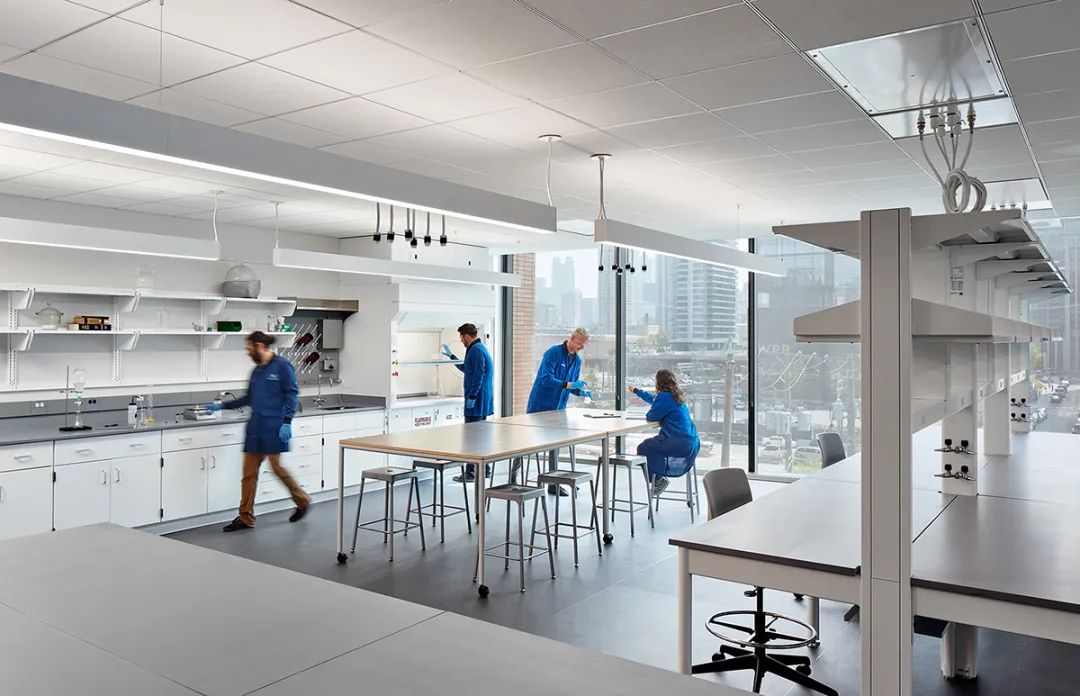 Hazel 科技芝加哥总部丨美国芝加哥丨Perkins&Will-11