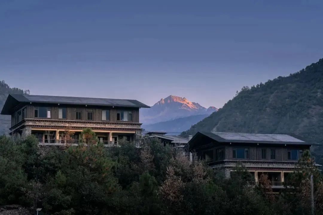 2025年国内50家重磅酒店丨中国上海丨Moinard Bētaille-276