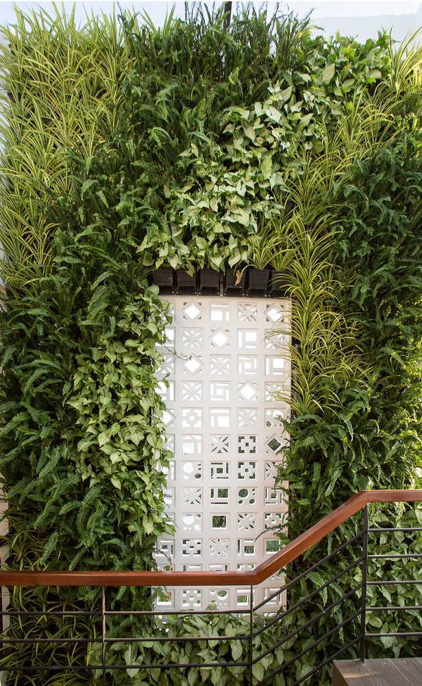 越南联排别墅的绿色生活空间-33