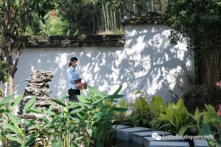 诗莉莉泛蜜月·青梅学社 | 8000㎡徽派园林中的浪漫温泉度假空间-43
