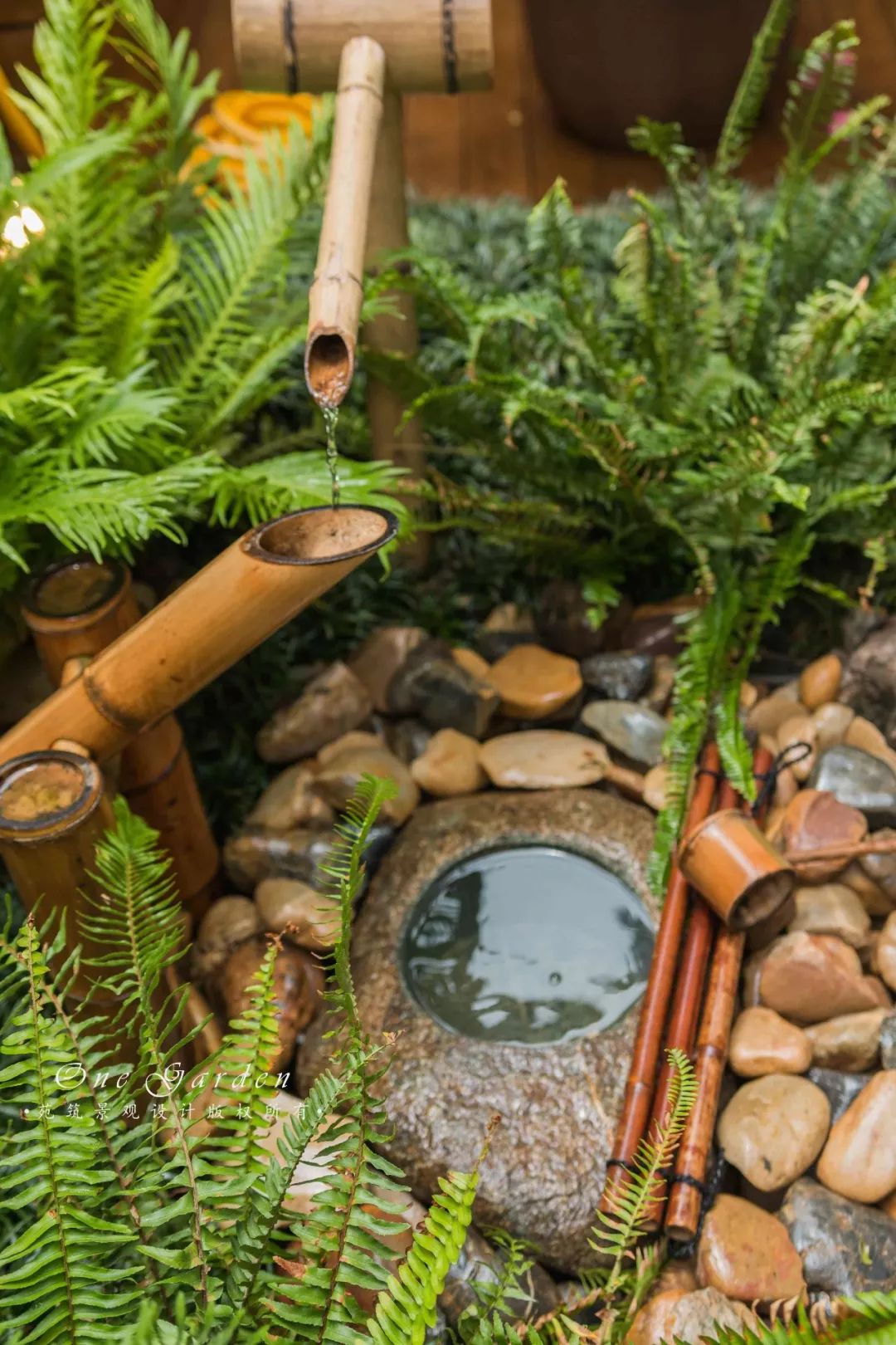 佘山自然梦花园 | 四季美景与家人相伴-72