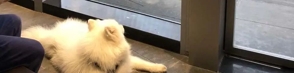 平常都市计划 | 新式茶饮空间设计探索-94