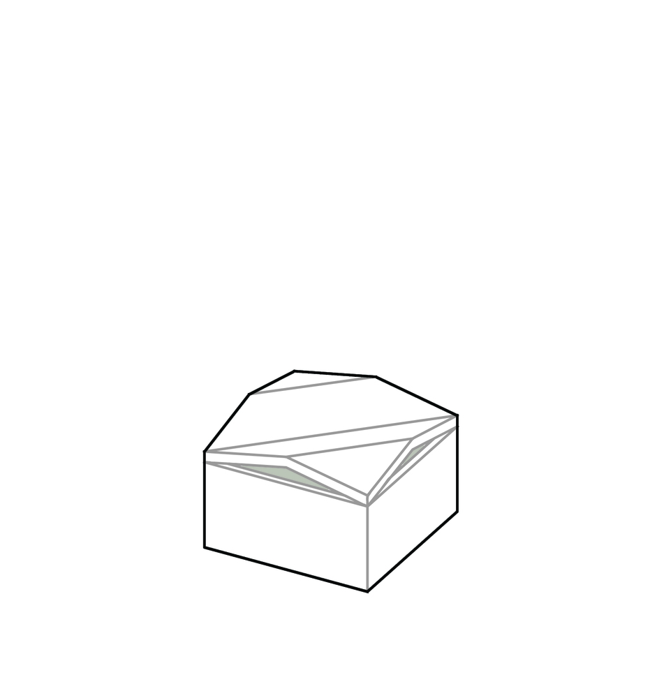 折纸式蝶形屋顶住宅-39