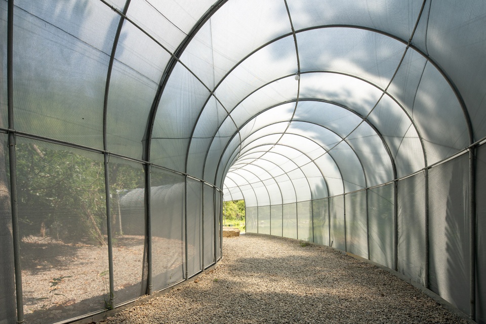 苗栗香格里拉乐园的生态奇观·勤美学森大-37