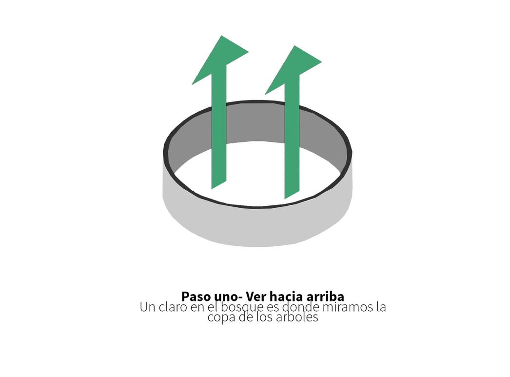 智利森林中的 Moholy 冥想空间丨José Peña-36