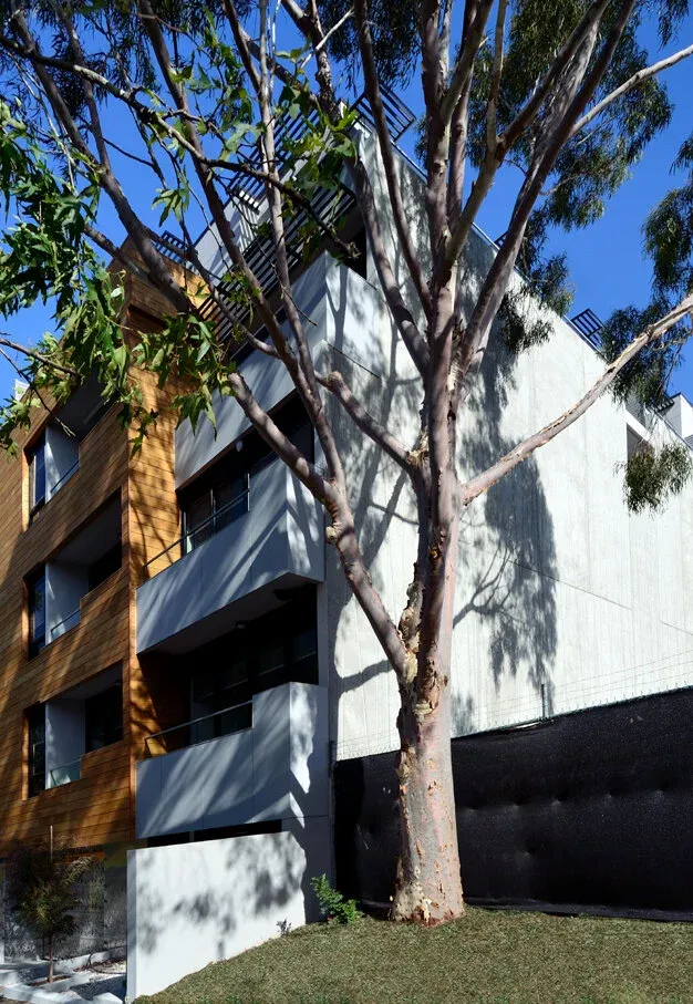 丨澳大利亚丨ARTISAN ARCHITECTS-29