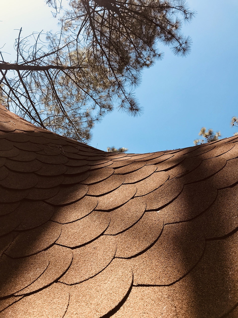 阴阳交融的「YU 舍」——竹构建筑的生态美学-36