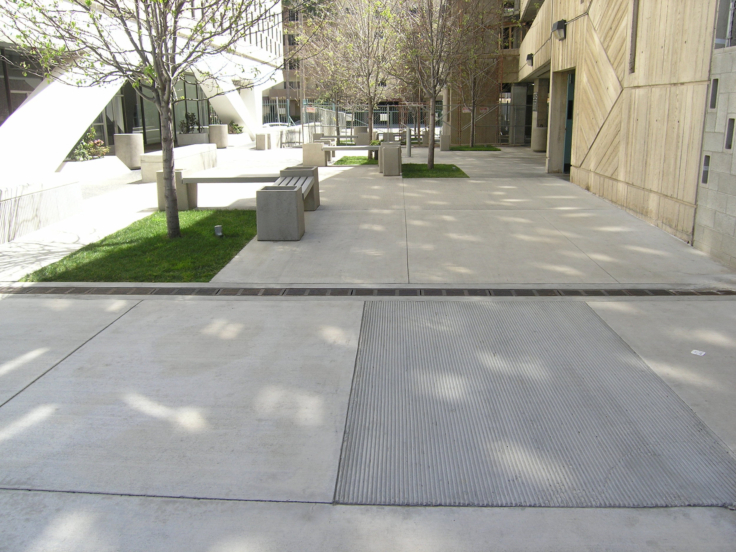 丨美国洛杉矶-25