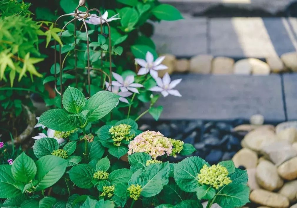 23 平露台变山野花园，浙江苑筑景观打造完美露台生活-61