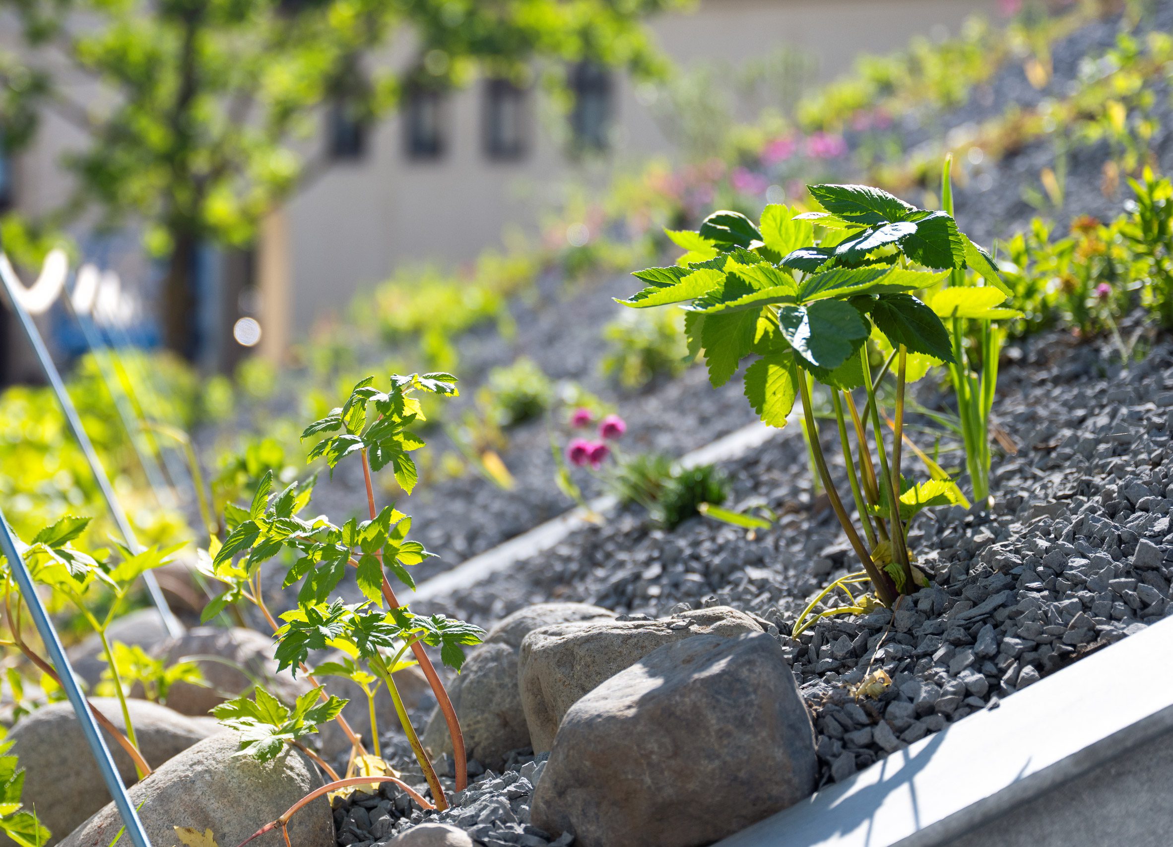 斜屋顶丨挪威-17