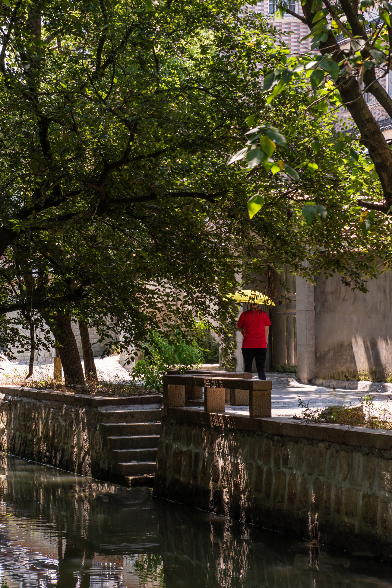 白相里·绿水人家-52