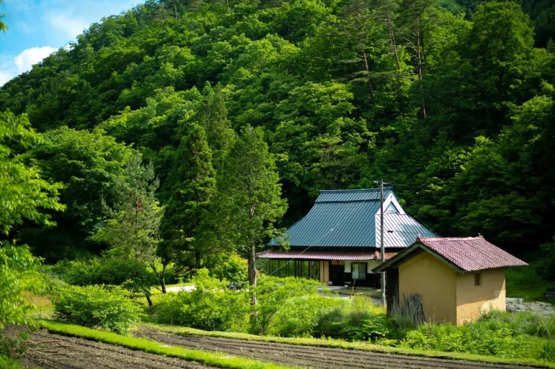 Setouchi Cominca Stay · 传统与现代的日本民宿丨Katsumi yamashita,Shiro miura-85