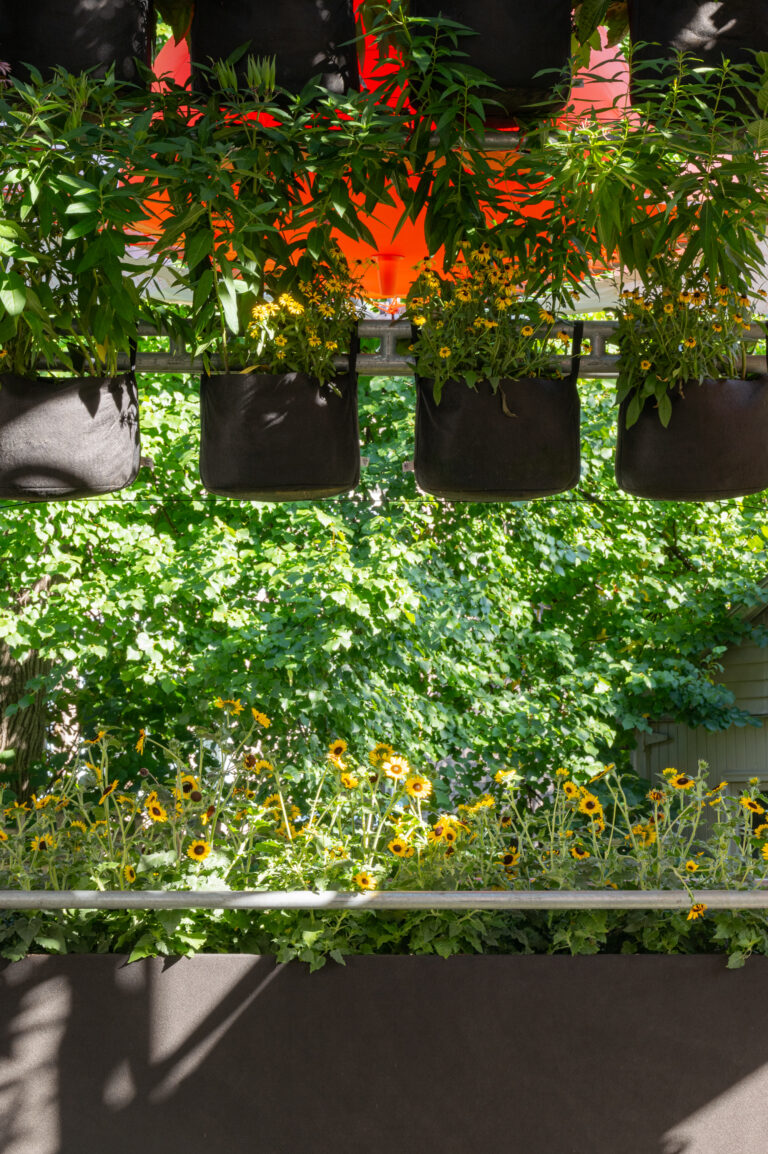 宝利大自然——城市生态系统

注：POLINATURE可能是一个品牌名或特定名称，这里音译为宝利大自然，如果它有特定规范译法，请结合实际情况调整 丨美国丨未明确提及主导设计方-72