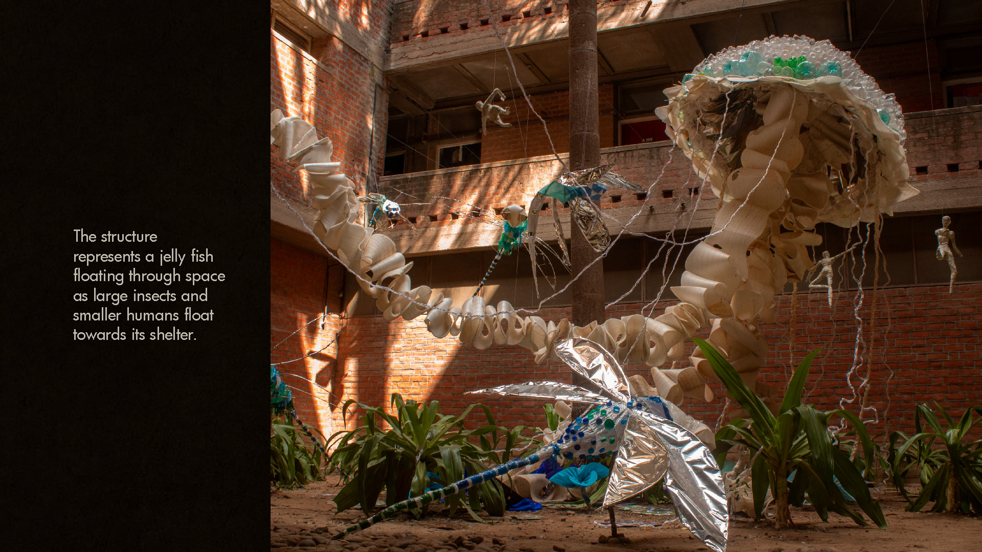 The Language of Material: Portfolio-25