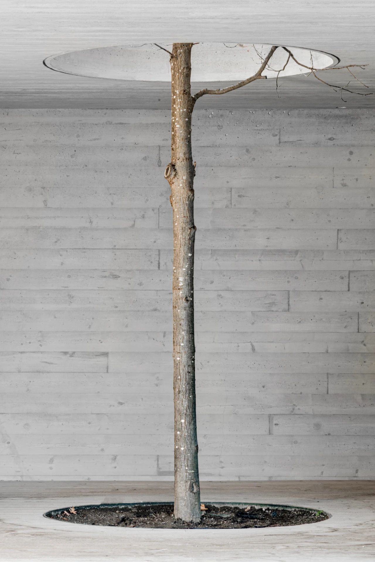 分裂之家丨意大利丨Bergmeisterwolf Architekten-21