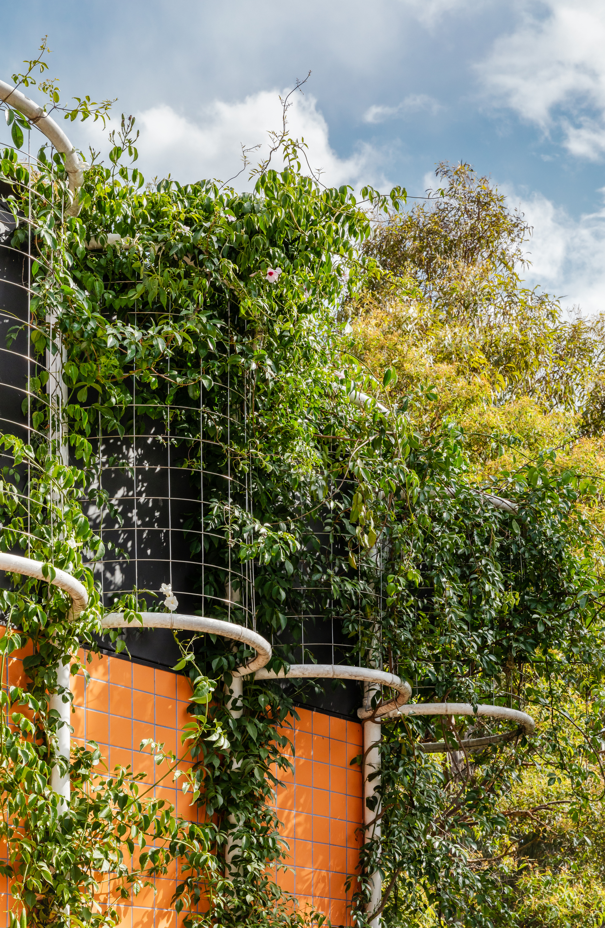 稳定的房子丨澳大利亚悉尼丨Sibling Architecture-30