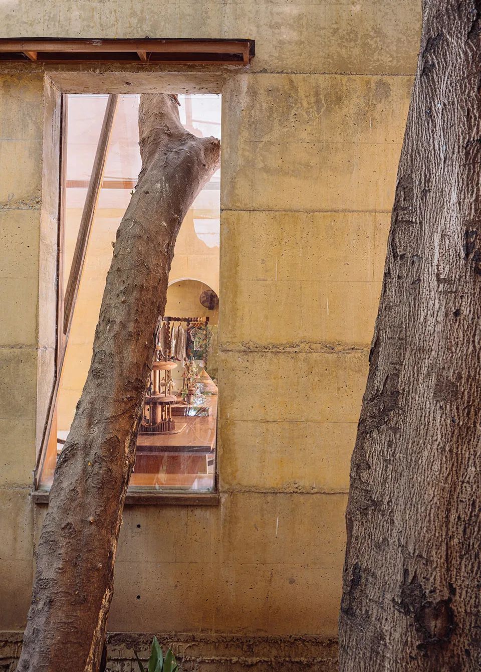 棚 2·0丨印度丨Studio ii-80