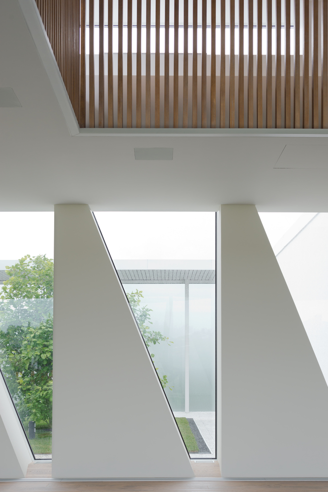 矛盾中的和谐,别墅设计实现隐私与透明共存-41