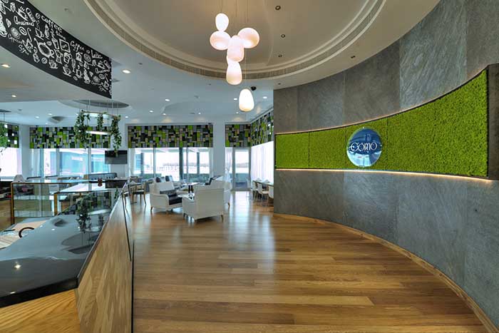 A contemporary design for interior landscapes -2