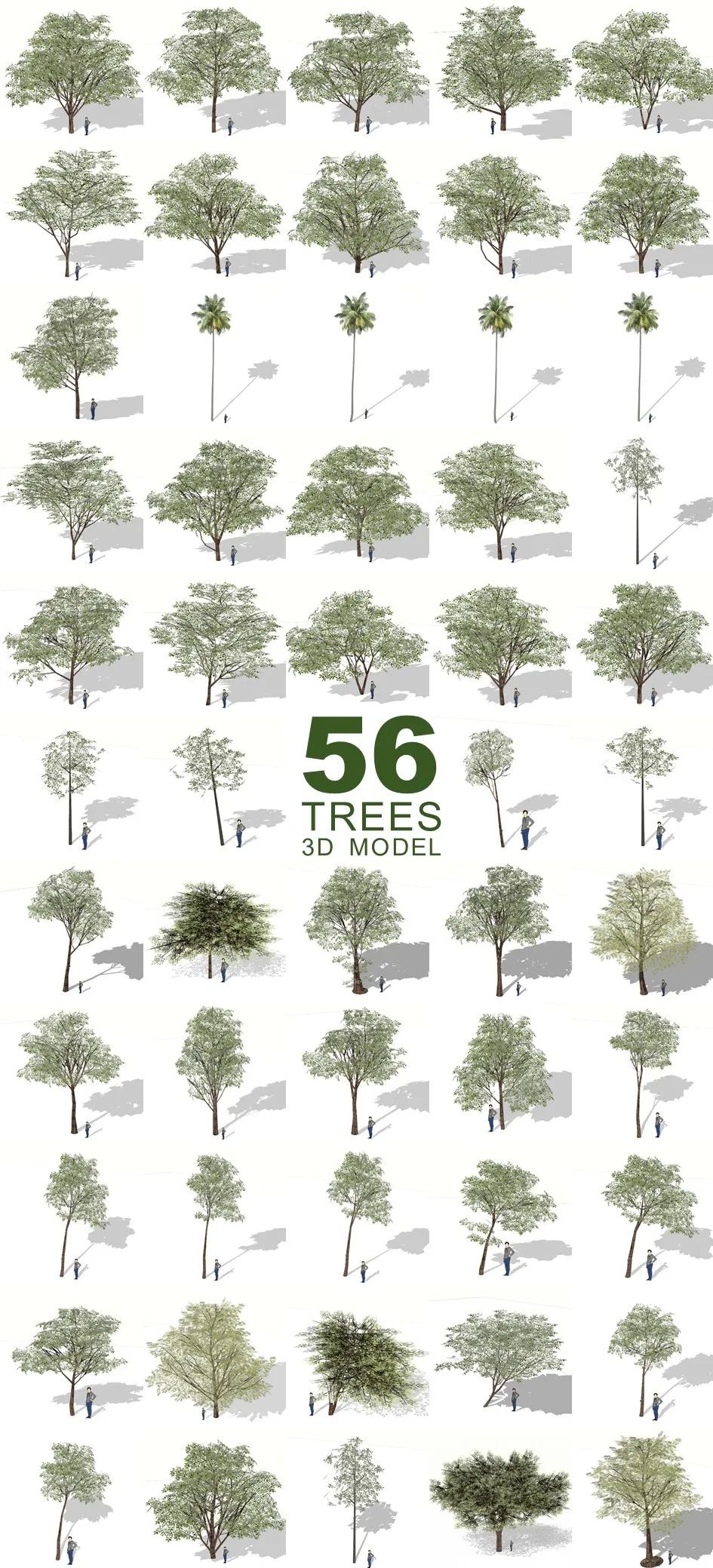 热带岛屿上的 56 棵树 | 场地密码解读与建筑设计-71