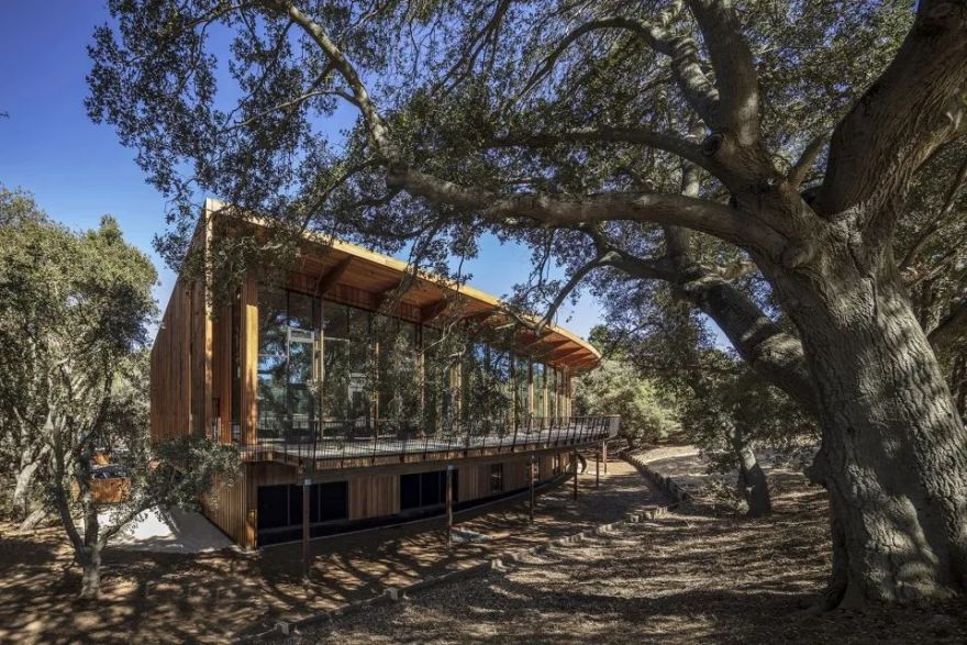 斯坦福大学丹宁楼(Denning House)-27