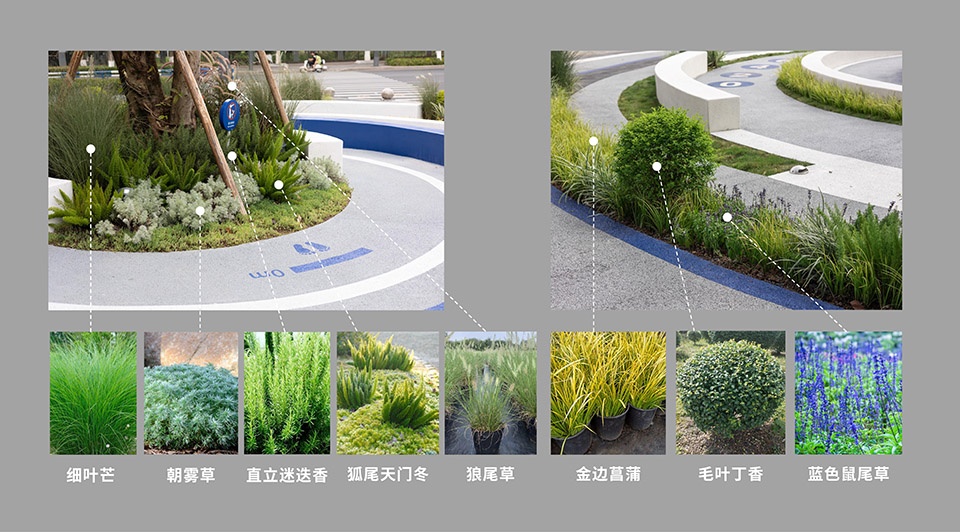 高新量子口袋公园丨10Design-70