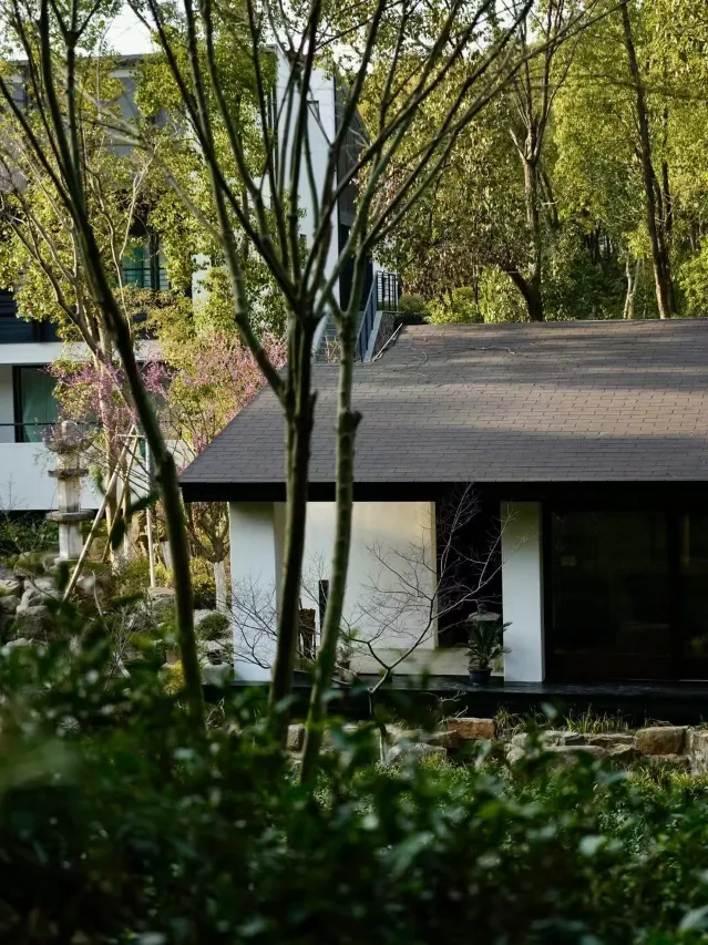 春山在望 RESUN丨中国江苏丨尚壹扬设计-64