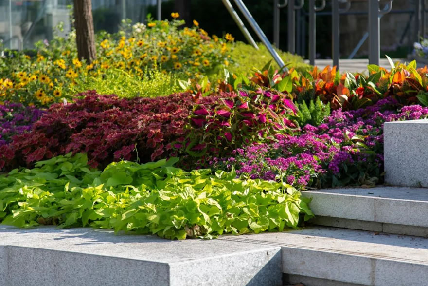 深圳福田侨香路景观提升丨中国深圳丨深圳文科园林股份有限公司-79