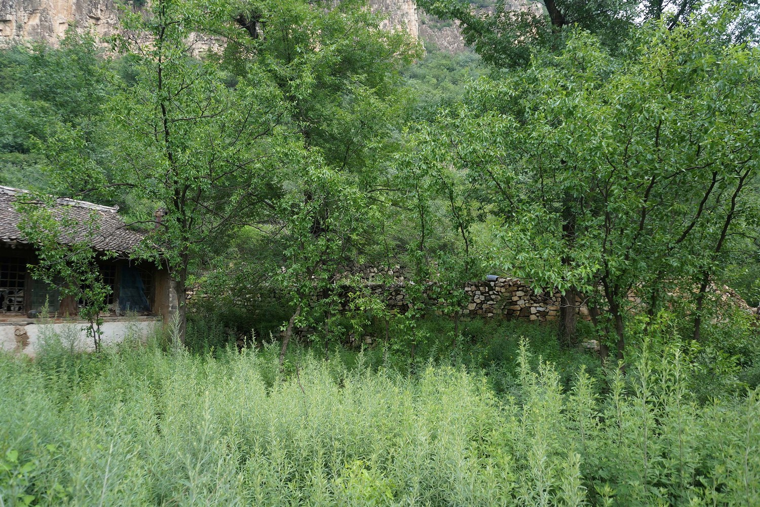 废弃村庄中的重生之家丨中国北京-46