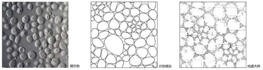邹城市蘑菇展览馆丨同圆设计集团股份有限公司-49